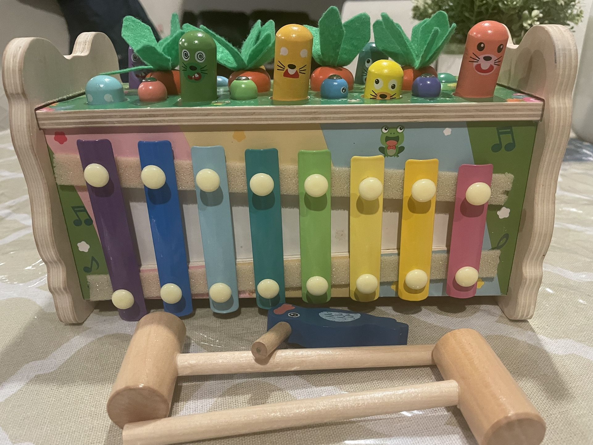 Montessori - Carrot Farm