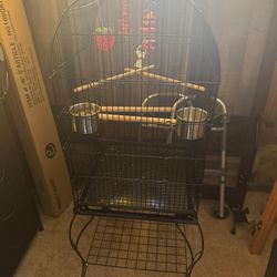 Bird Cage