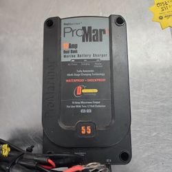 PRO MARINER PROMAR 10AMP DUAL BANK 