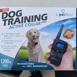 Dog Training Collar
