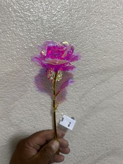 Rosas 🌹 Con luces De Colores