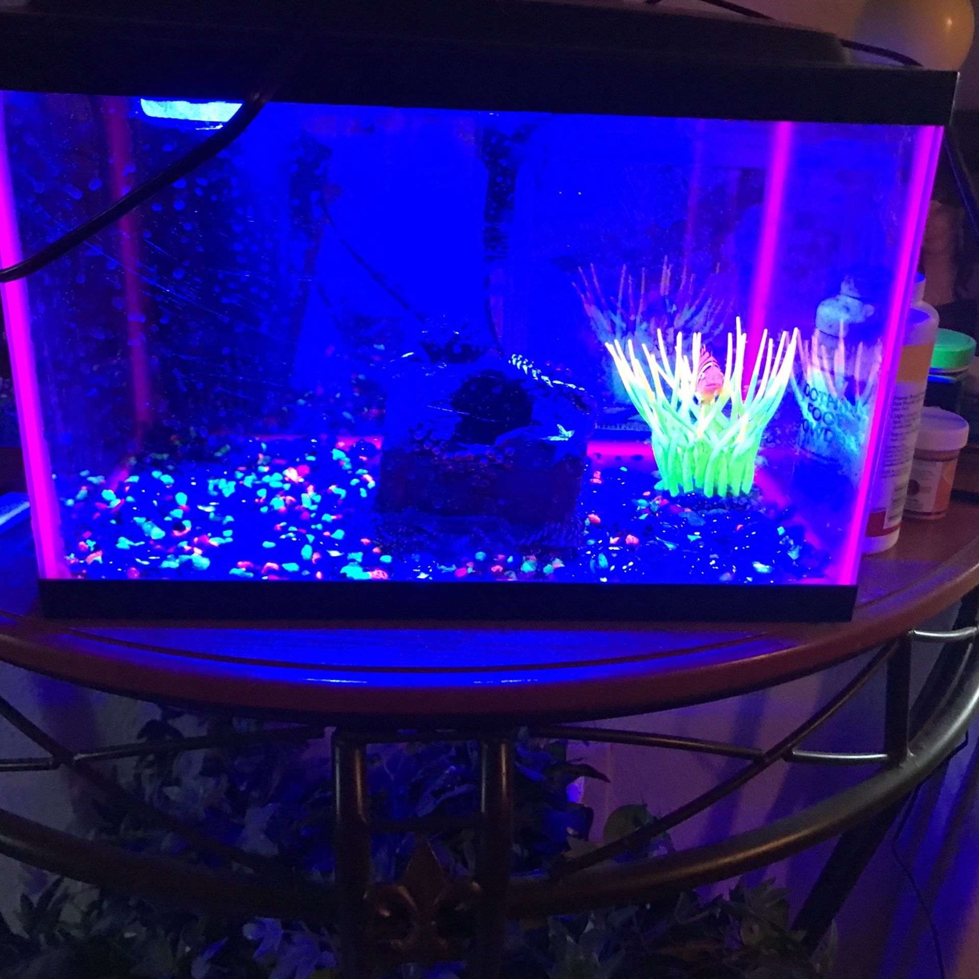 Fish Tank With Extra Things Inside