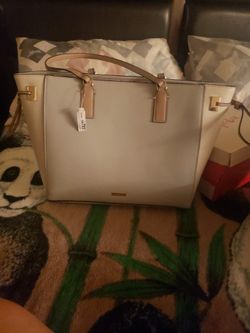 Aldo Purse Brand New
