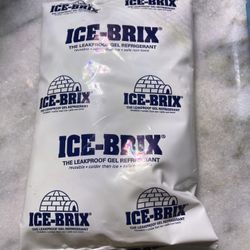20 Small ice  Packs 