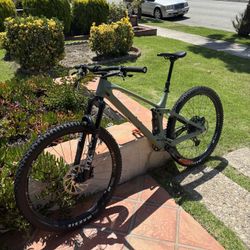 YT Izzo Large 29r