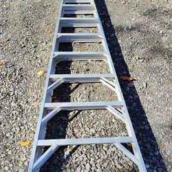 Werner 10 Ft Aluminum Ladder