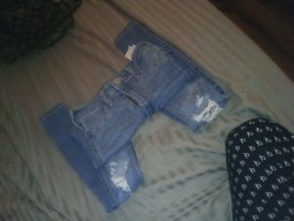 Hollister Jeans 