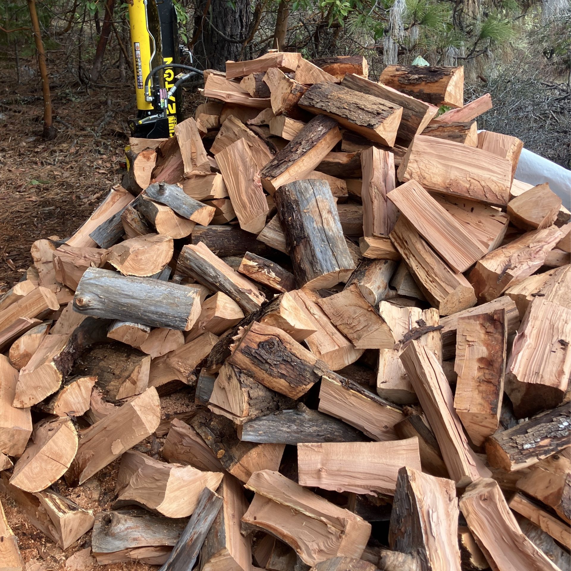 Firewood