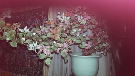 Antique jade tree