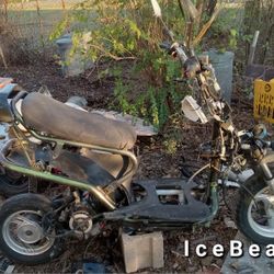 Icebear 50cc Gas Scooter Project