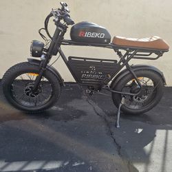 Electric Bike Dual Motor 35MPH 