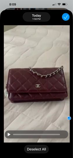 Cute Designer Purse