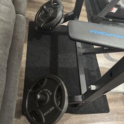 Weights And Bench