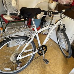 Royce Union 26 Inch Cruiser