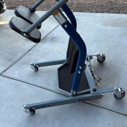 BestMove Stand Up Transfer Aid