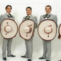 Violin Mariachi