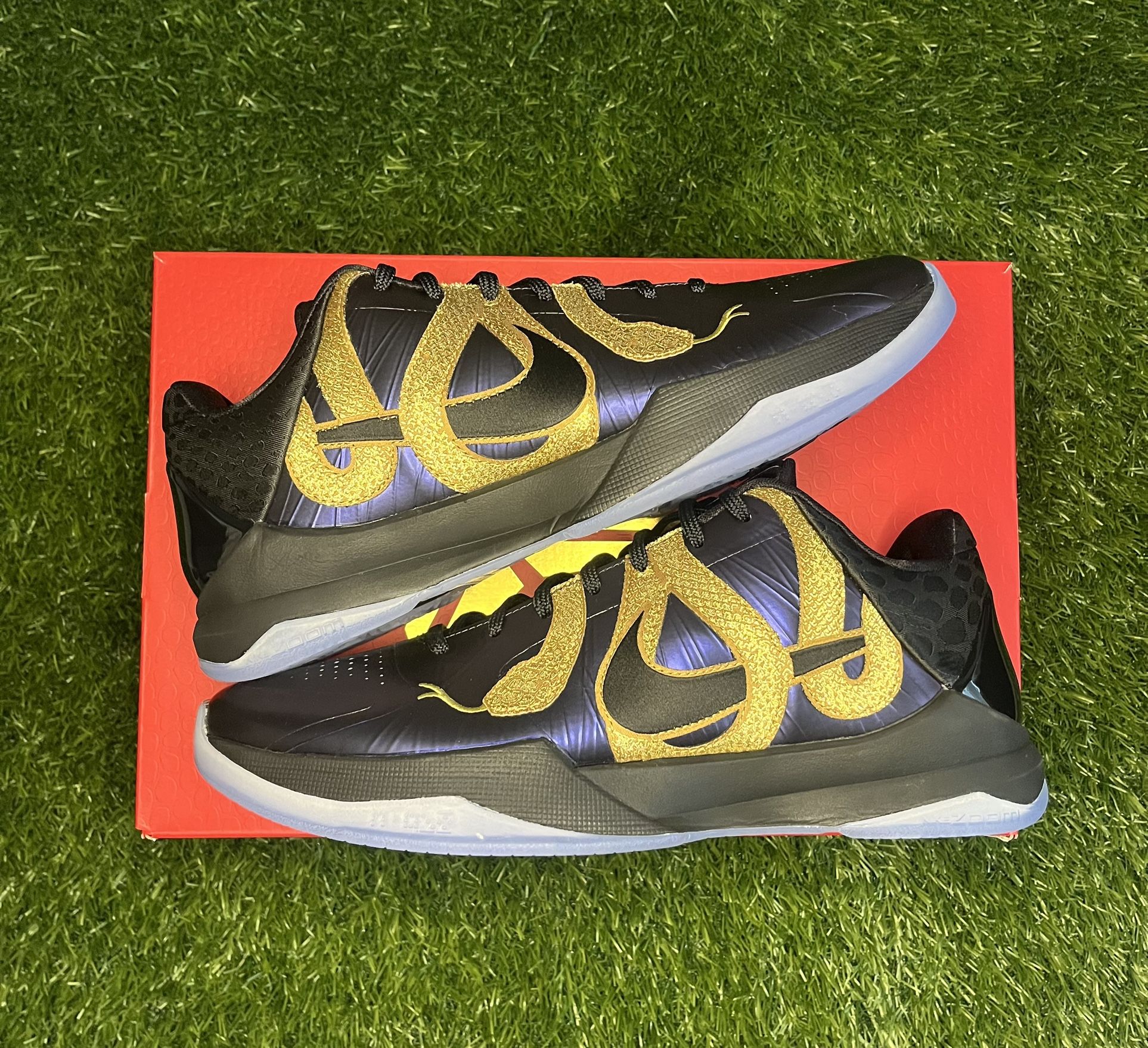 Kobe 5 Protro Year of the Mamba Eggplant