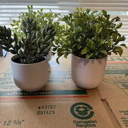 Fake Plants Decor X 4