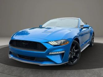 2019 Ford Mustang