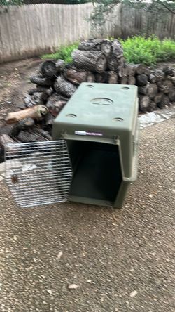 Large dog kennel