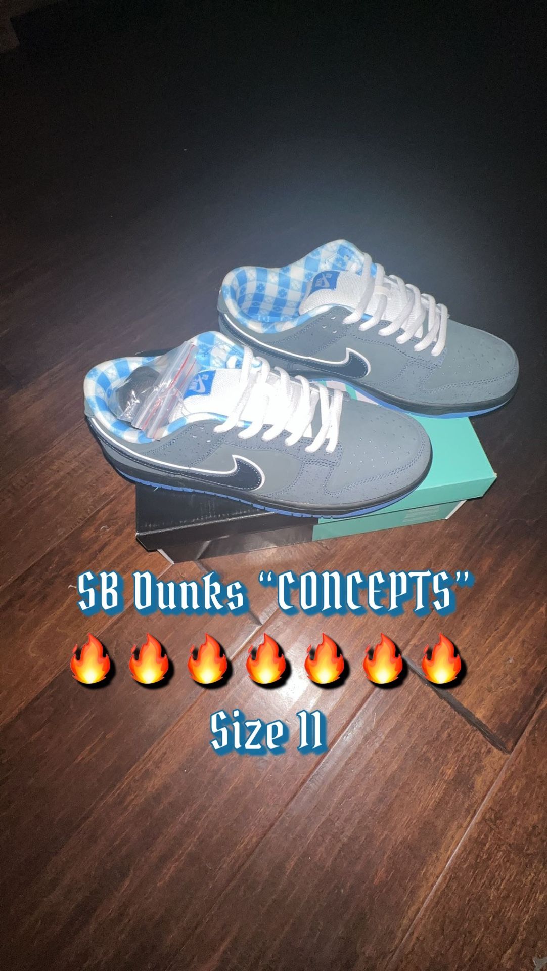 Nike SB Dunks “Concepts” 