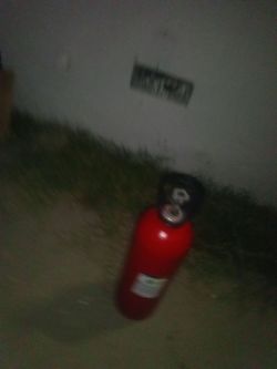 Nos noz