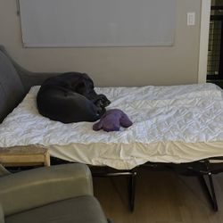 Pull Out Sleeper Couch