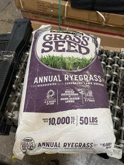 Grass