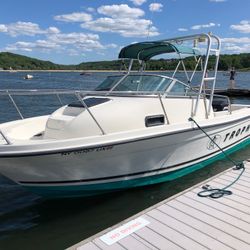 2001 20ft Bayliner Trophy