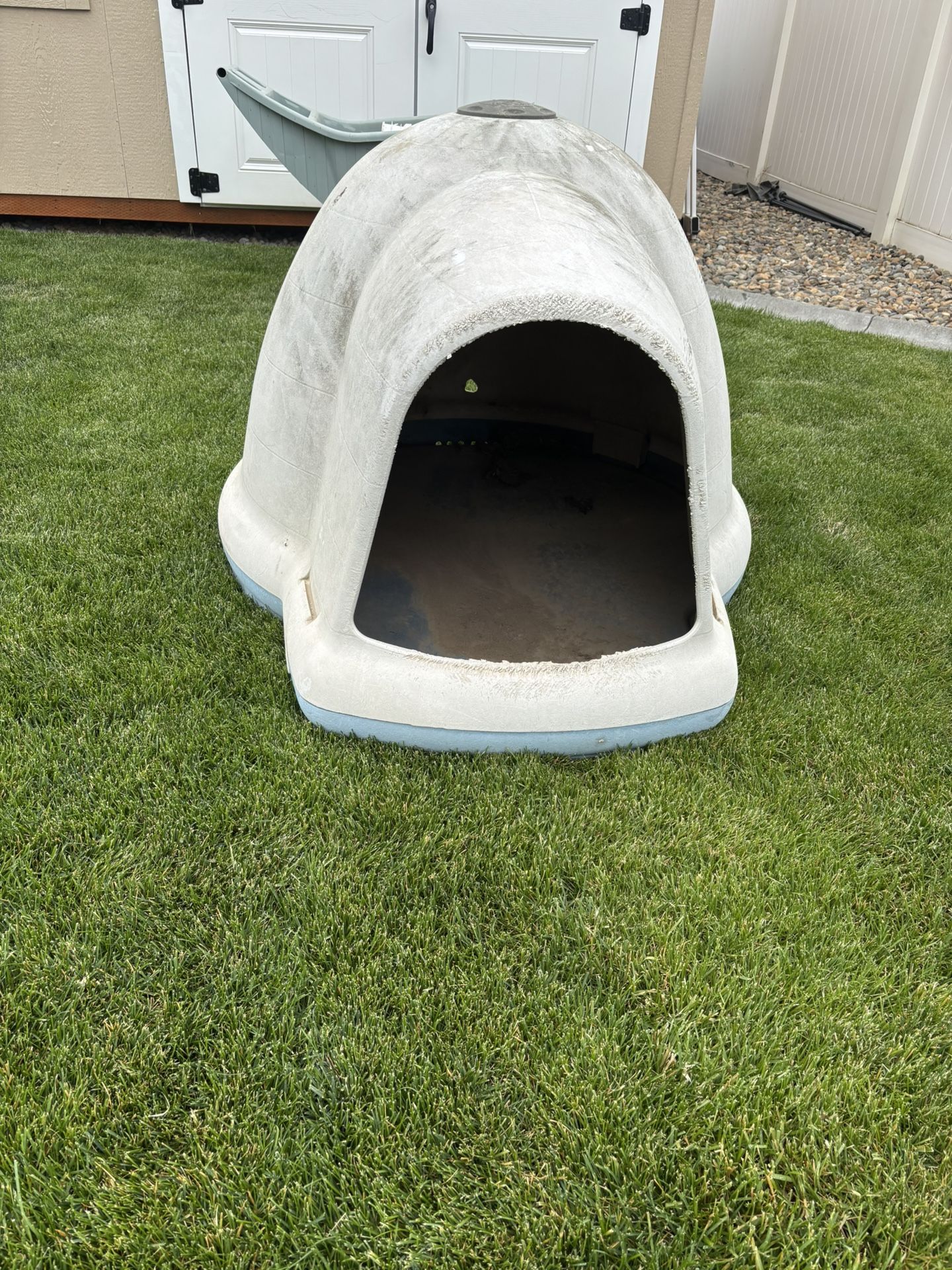 Dog House Igloo