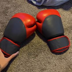 16oz Boxing Gloves