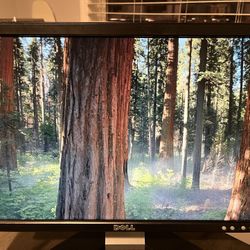 Dell Monitor 19”