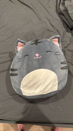 Grey cat squishmallow from 2019