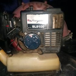 Echo Backpack Blower