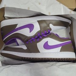 Brand New Box Jordan Dunks 