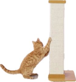 Cat scratcher 30$ cat play house 49$