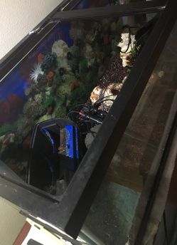 Fish tank