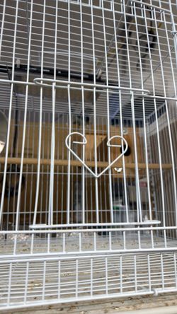 Lovebird Cage🦜