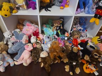 $*WANTED*$  BEANIE BABIES (regular size no yellow stars or attic treasures)