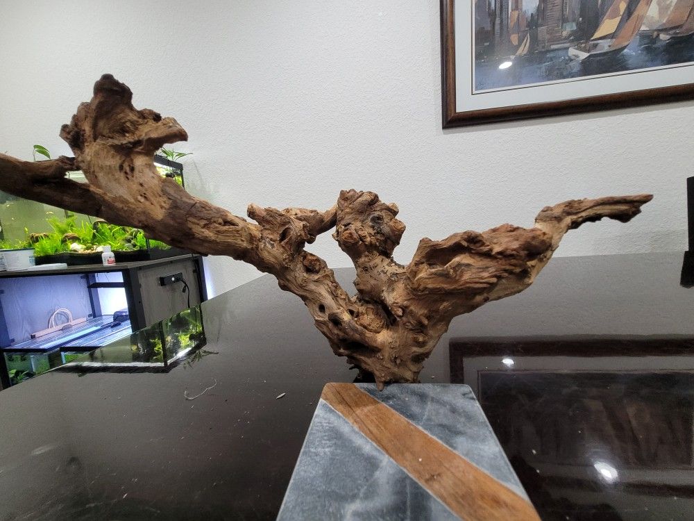 Large Aquarium Fish Reptile Driftwood