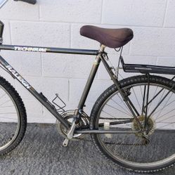 Raleigh Bike 26in