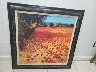 Framed Field Of Red And Gold by Steve Thoms
