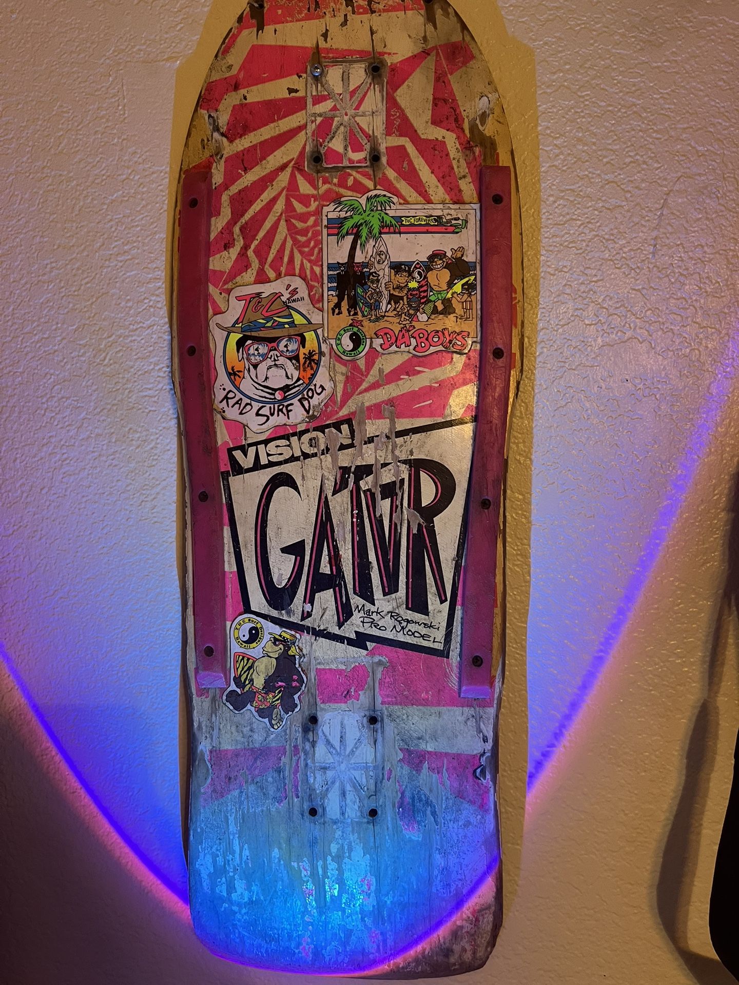 1986 ALL ORIGINAL VISION GATOR