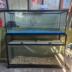 55 G Fish Tank