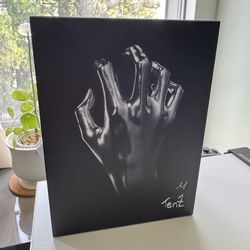 [BRAND NEW] Finalmouse Starlight TenZ - Medium