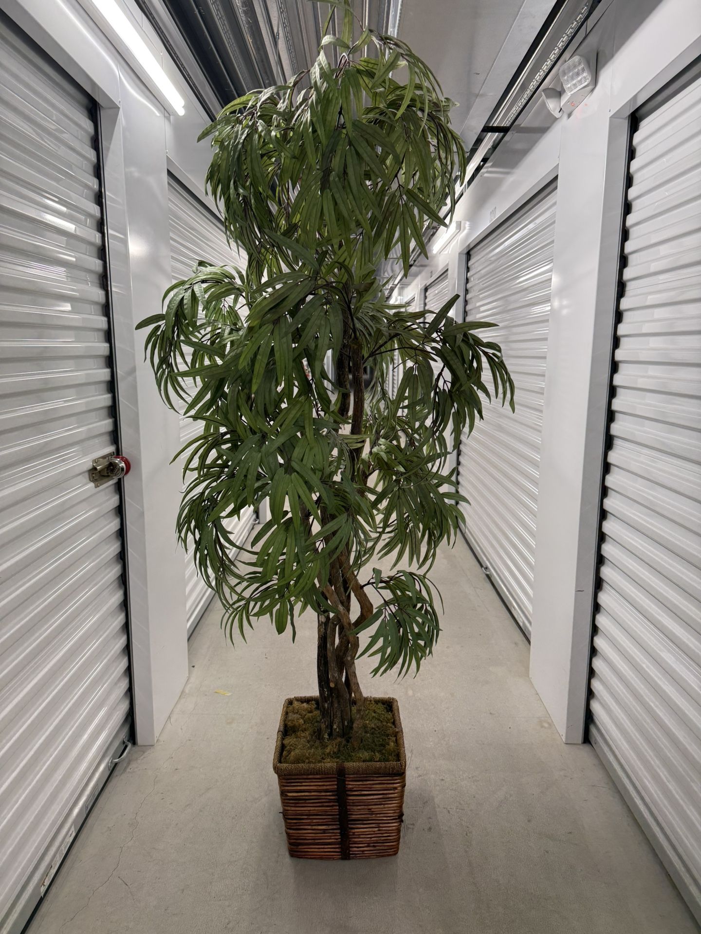 Tall Artificial Tree With Woven Basket (7 Ft 1 Tall)- Firm Price 