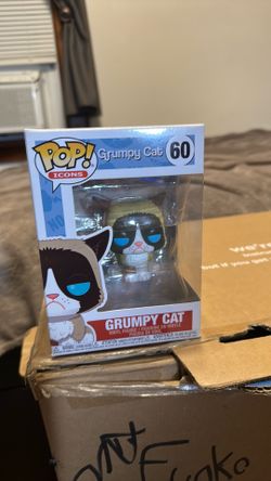 Grumpy Cat