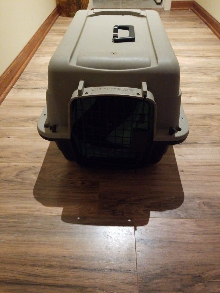 Pet Kennel