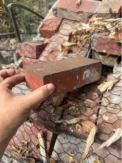Red bricks