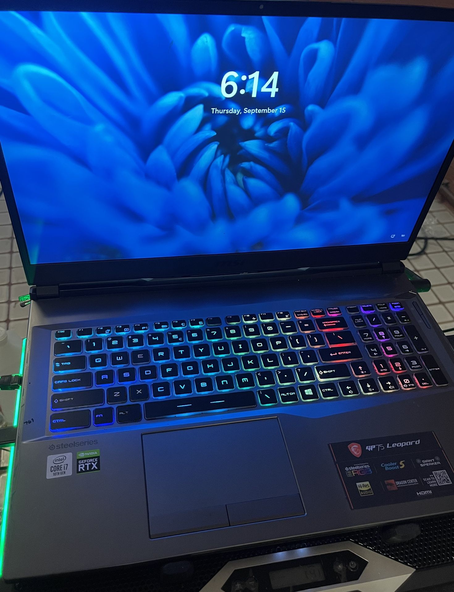 MSI GL75 Leopard Gaming Laptop 